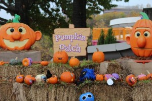 Halloween Fun, Easton Farm Park
