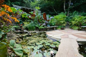 Henstead Exotic Garden